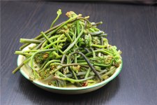 蕨菜有毒不敢用？真的是這樣的嗎【重慶火鍋底料批發(fā)在哪里】