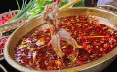 組合式主食材火鍋的春天來了，美蛙魚頭發(fā)展勢頭迅猛【重慶火鍋底料廠地址】