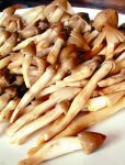 嶺南菌王當季，食客們?yōu)橹偪瘛局貞c火鍋底料批發(fā)商】