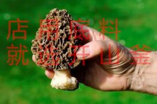 菜品如何提升檔次？【重慶火鍋底料批發(fā)價格】